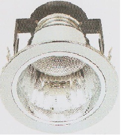 DL-401 CH